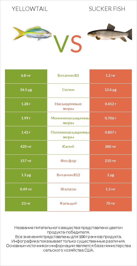 Yellowtail vs Sucker fish infographic