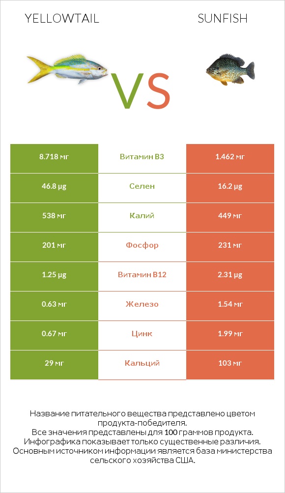 Yellowtail vs Sunfish infographic