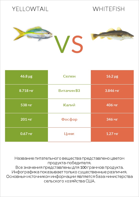 Yellowtail vs Whitefish infographic