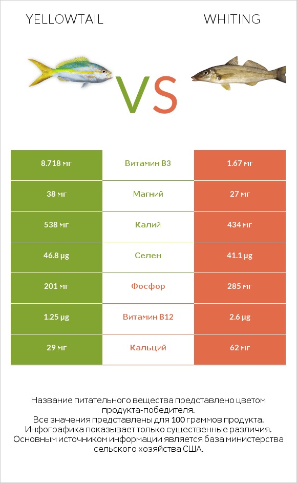 Yellowtail vs Whiting infographic