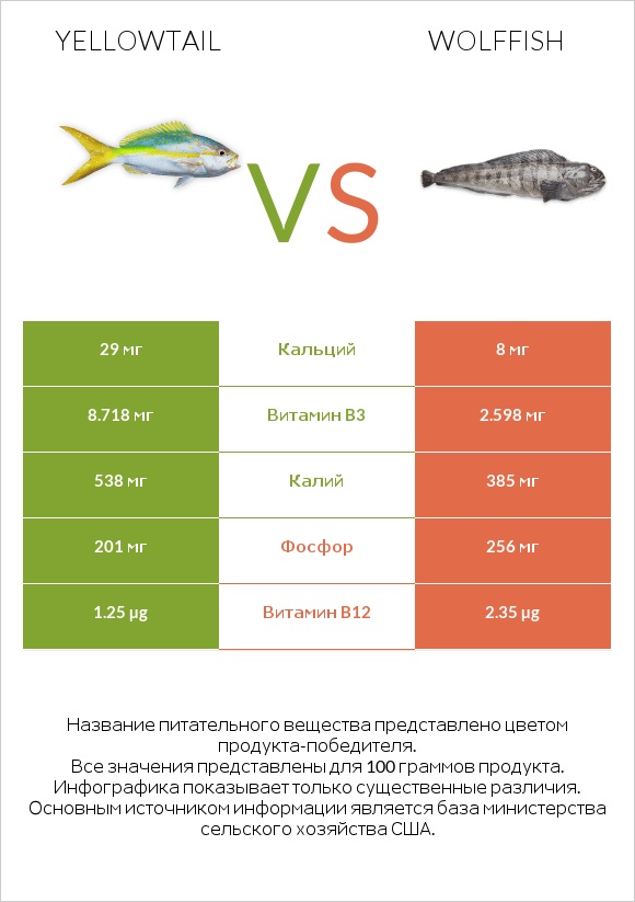 Yellowtail vs Wolffish infographic