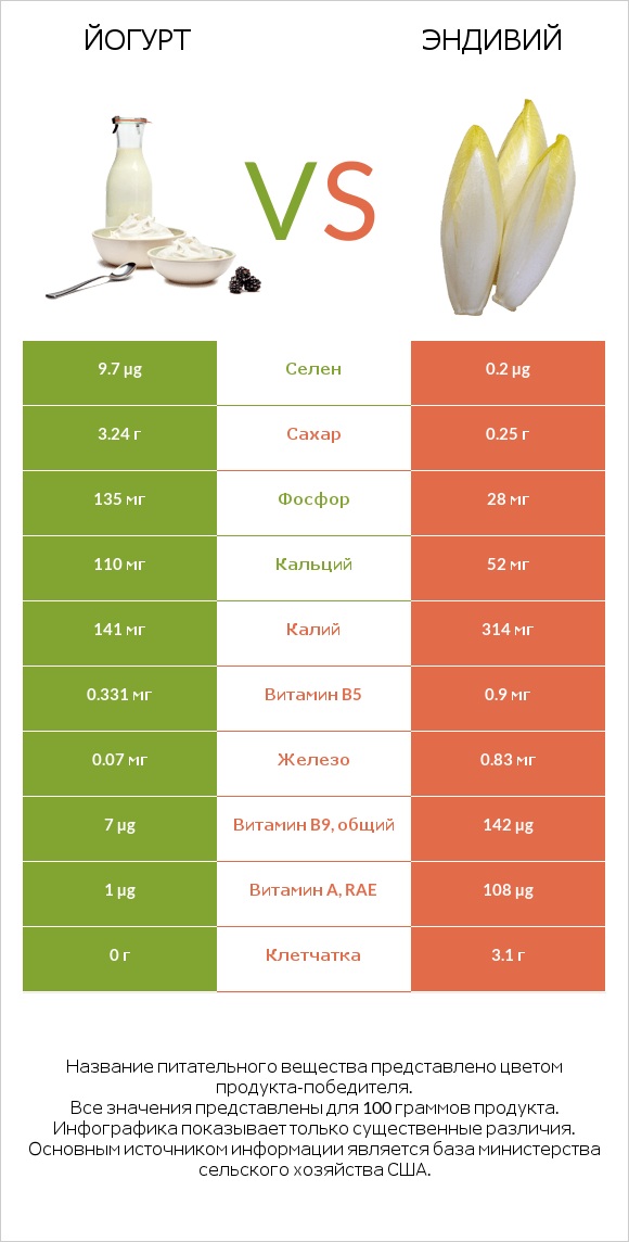 Йогурт vs Эндивий (Цикорий салатный)  infographic