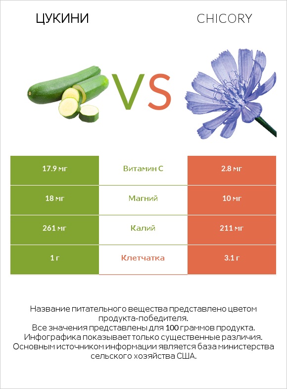 Цукини vs Chicory infographic