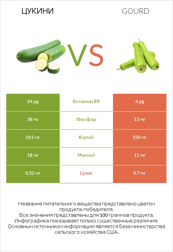 Цукини vs Gourd infographic