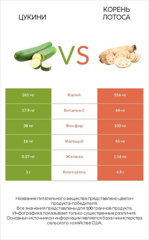 Цукини vs Корень лотоса infographic