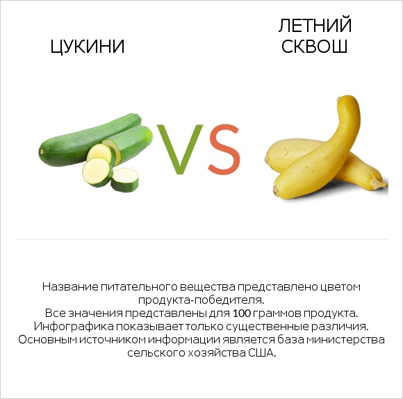 Цукини vs Летний сквош infographic