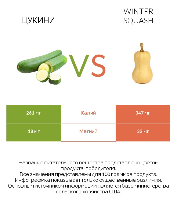 Цукини vs Winter squash infographic
