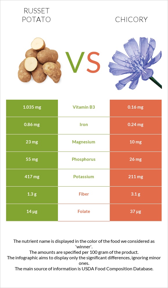 Russet potato vs Chicory infographic