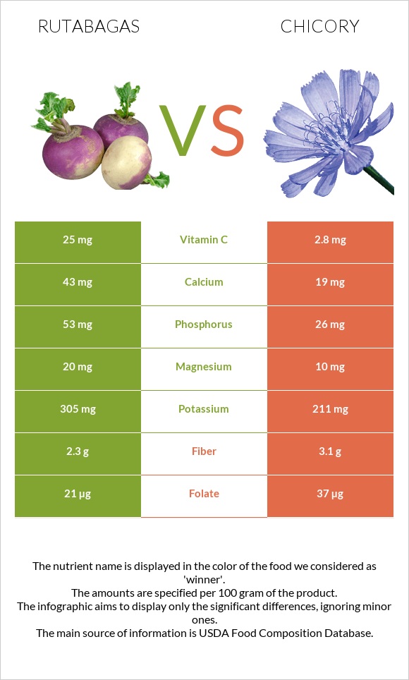 Rutabagas vs Chicory infographic
