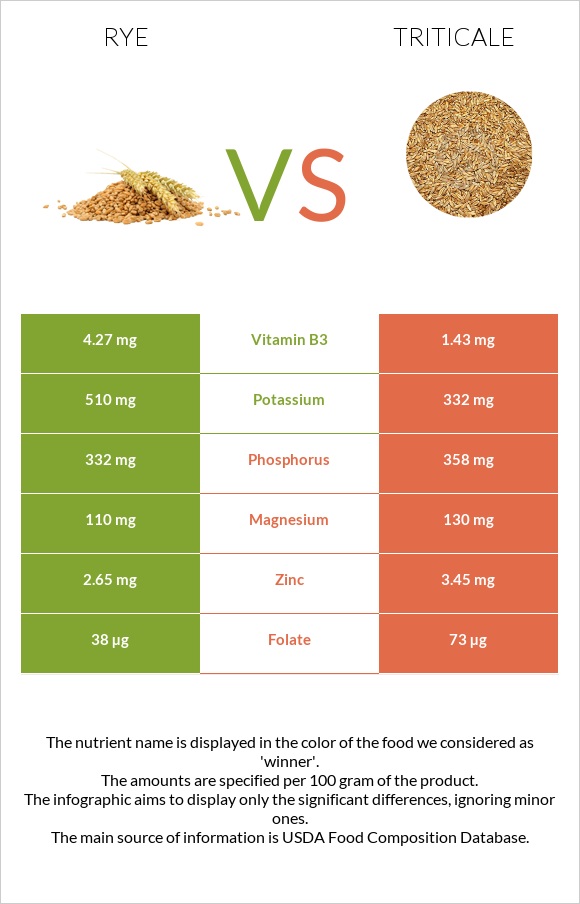 Rye vs Triticale infographic