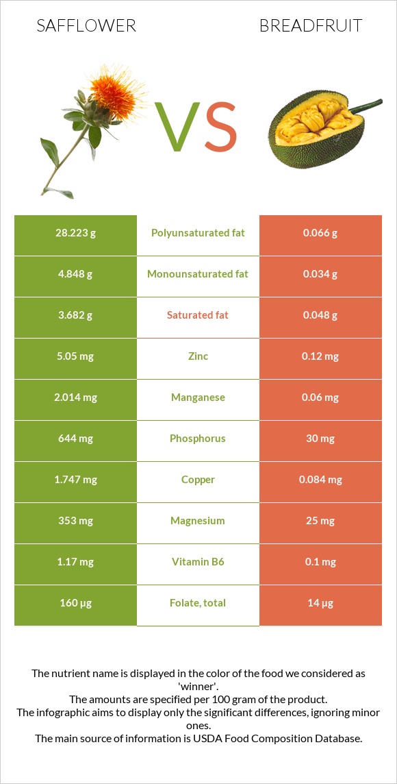 Կանճրակ vs Հացի ծառ infographic