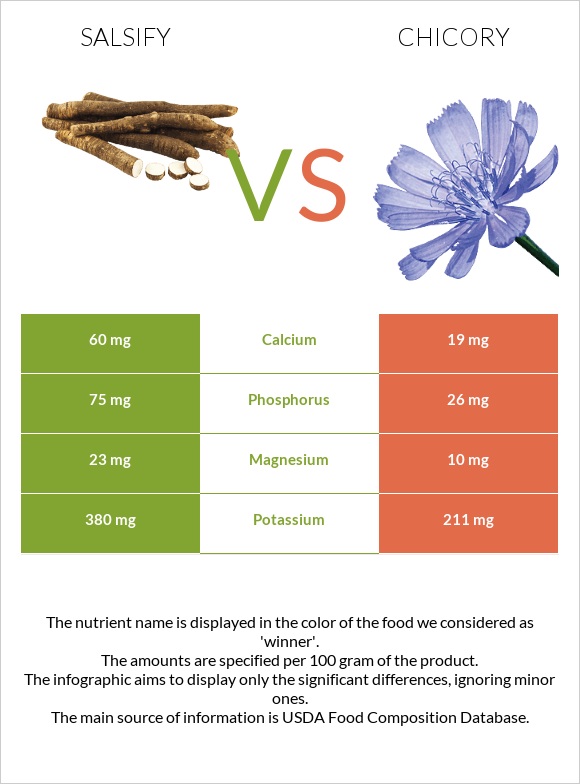 Salsify vs Chicory infographic