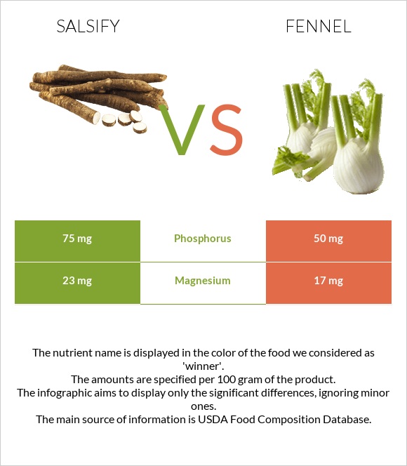 Salsify vs Fennel infographic