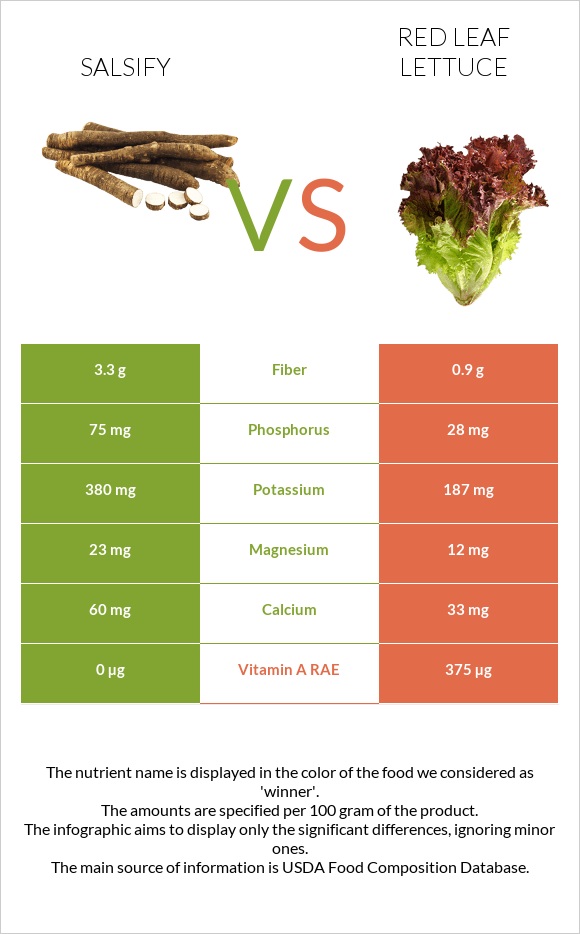 Salsify vs Red leaf lettuce infographic