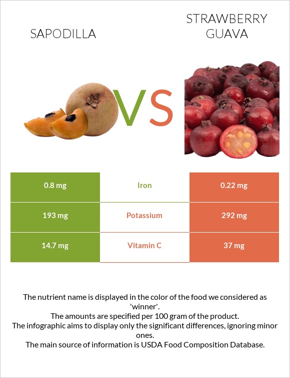 Sapodilla vs Ելակի գուավա infographic