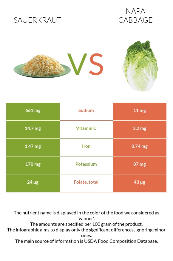 Sauerkraut vs Napa cabbage infographic