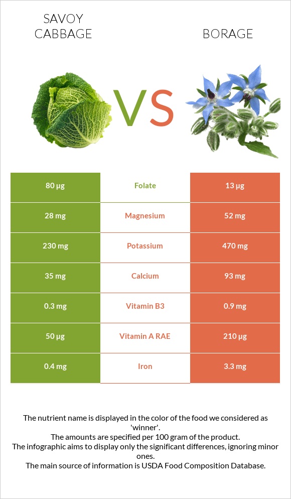 Savoy cabbage vs Borage infographic