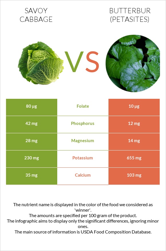 Savoy cabbage vs Butterbur infographic