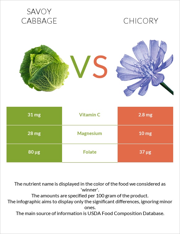 Savoy cabbage vs Chicory infographic