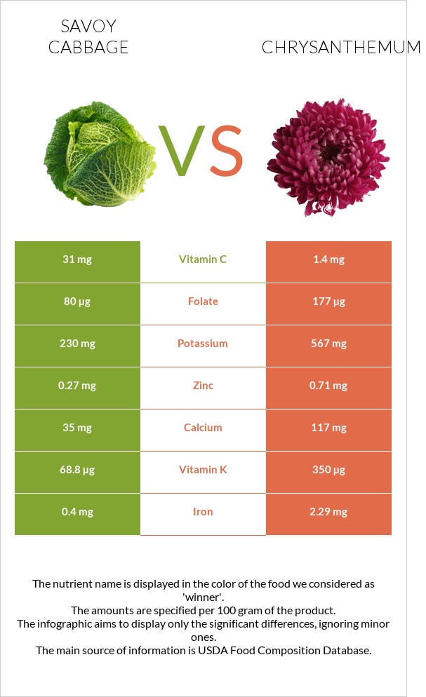 Savoy cabbage vs Chrysanthemum infographic