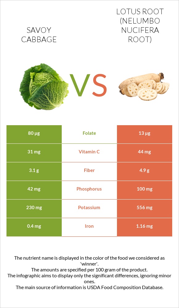 Savoy cabbage vs Lotus root infographic
