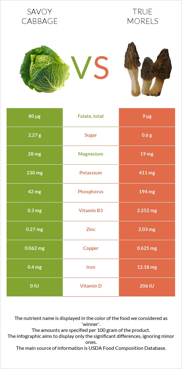 Savoy cabbage vs True morels infographic