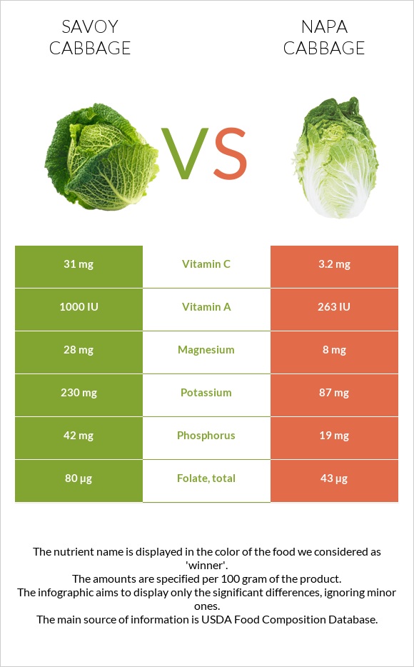 Savoy cabbage vs Napa cabbage infographic
