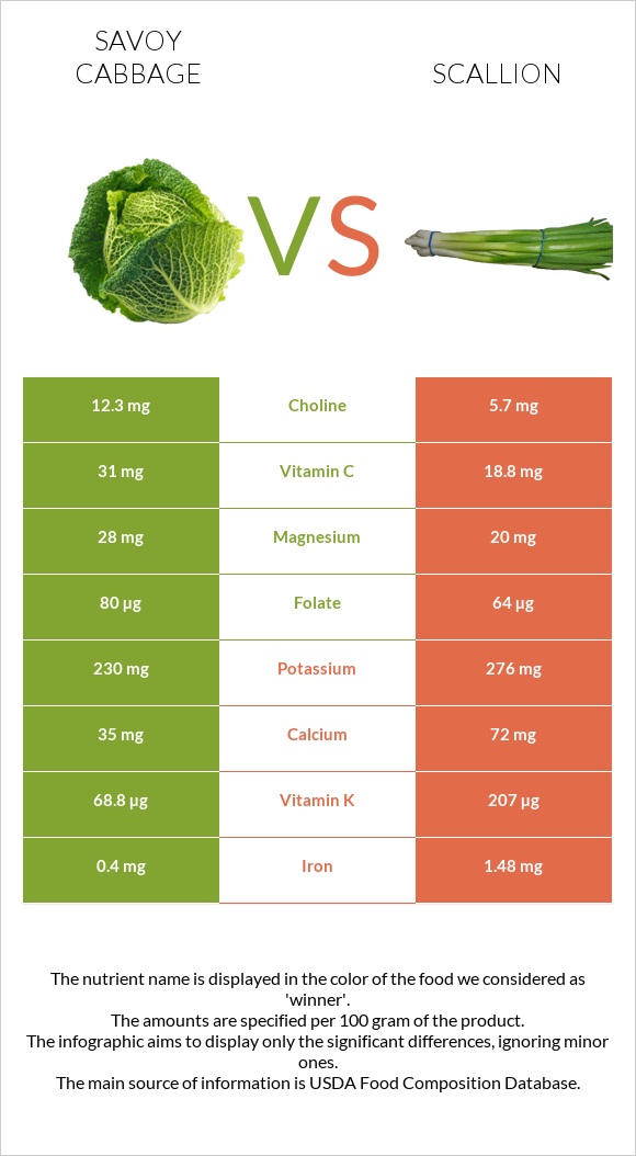Savoy cabbage vs Scallion infographic