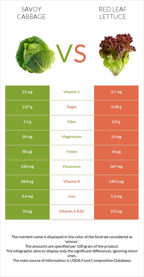 Savoy cabbage vs Red leaf lettuce infographic