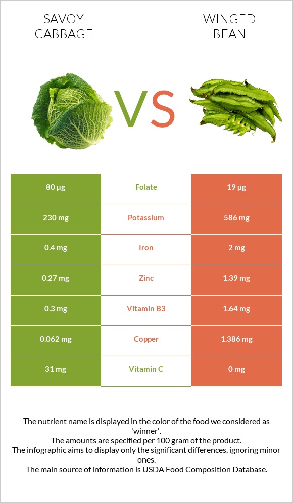 Savoy cabbage vs Winged bean infographic