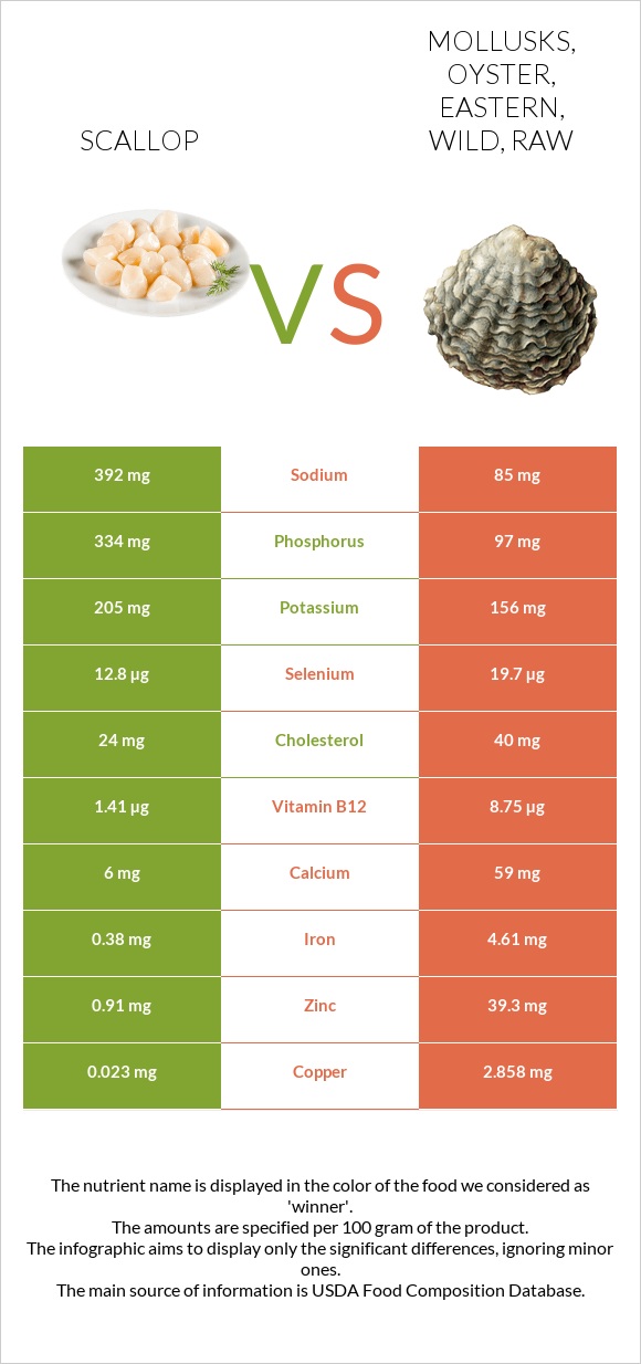 Scallop vs Mollusks, oyster, eastern, wild, raw InDepth Nutrition