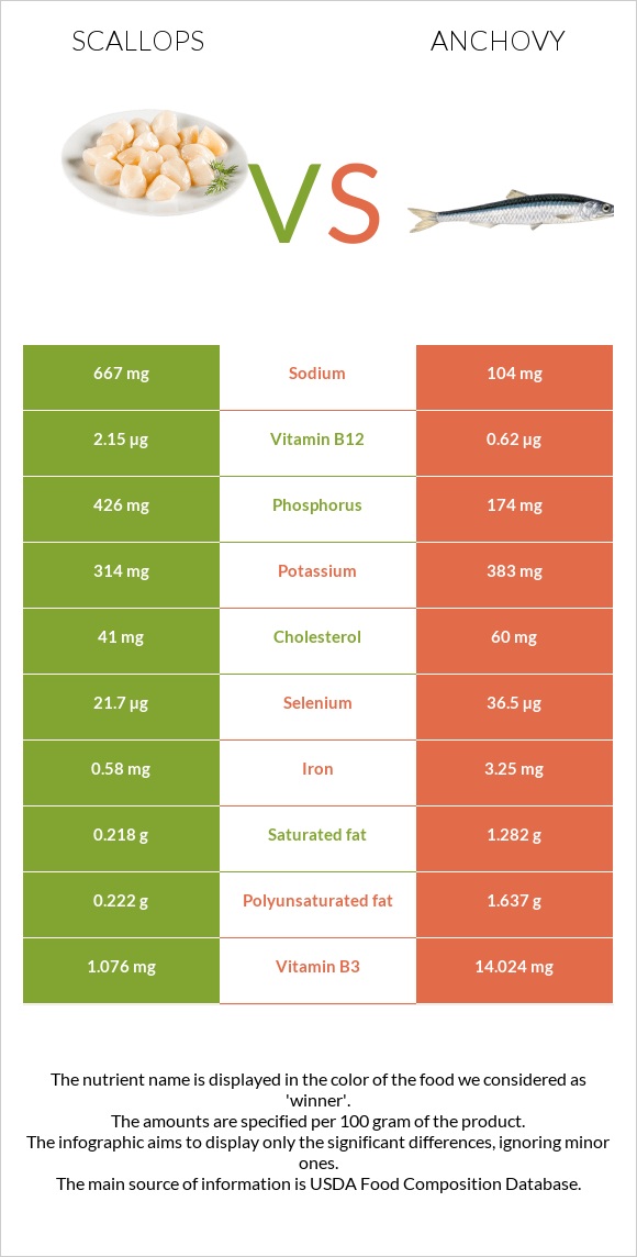 Scallops vs Anchovy infographic