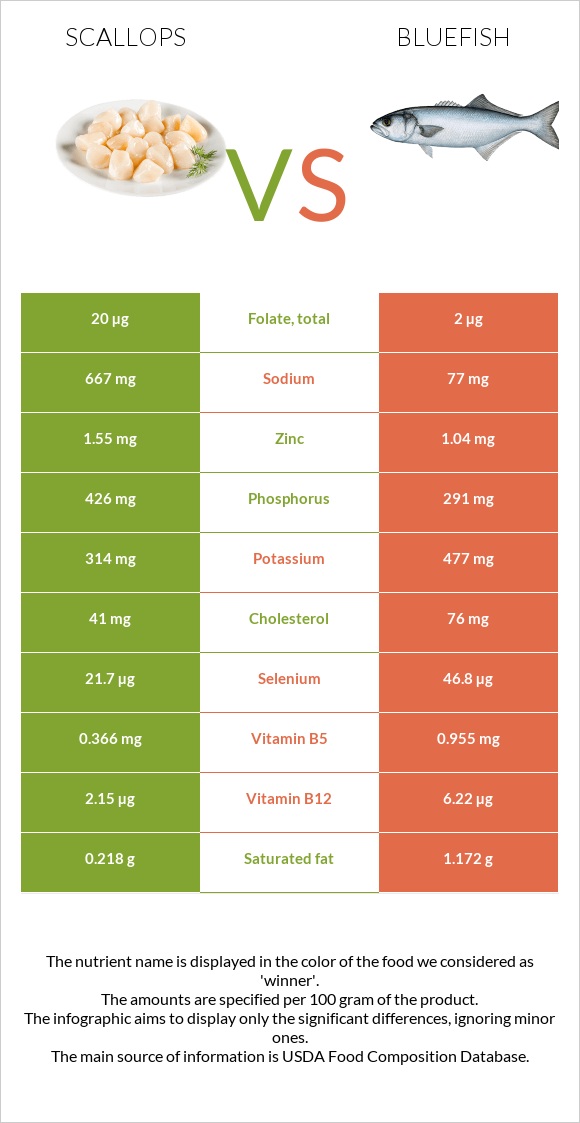 Scallop vs Bluefish infographic