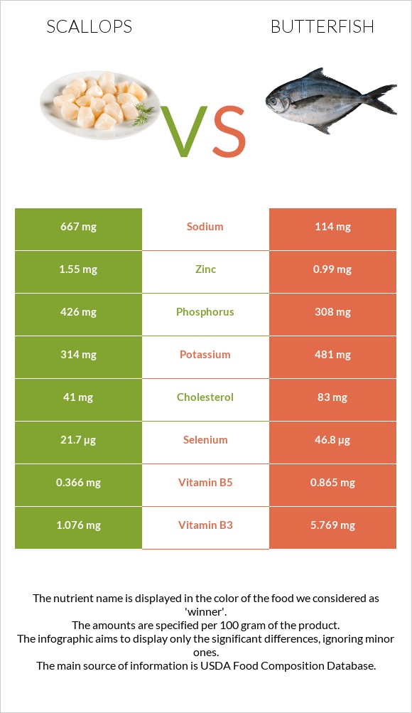 Scallop vs Butterfish infographic