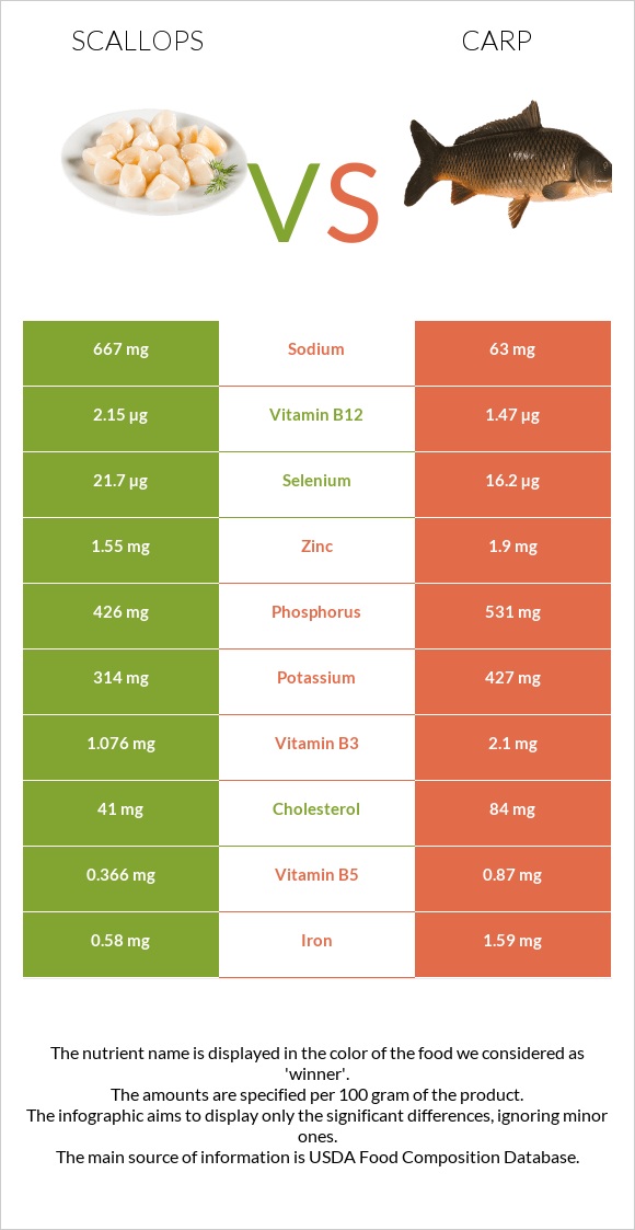 Scallops vs Carp infographic