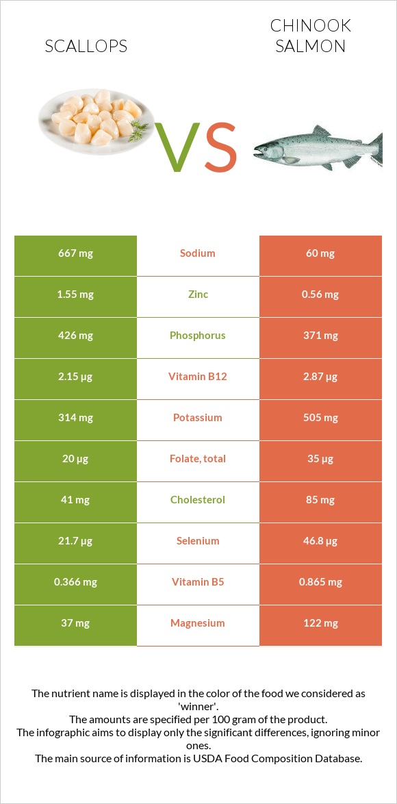 Scallop vs Սաղմոն չավիչա infographic