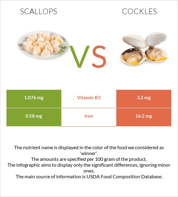 Scallops vs Cockles infographic