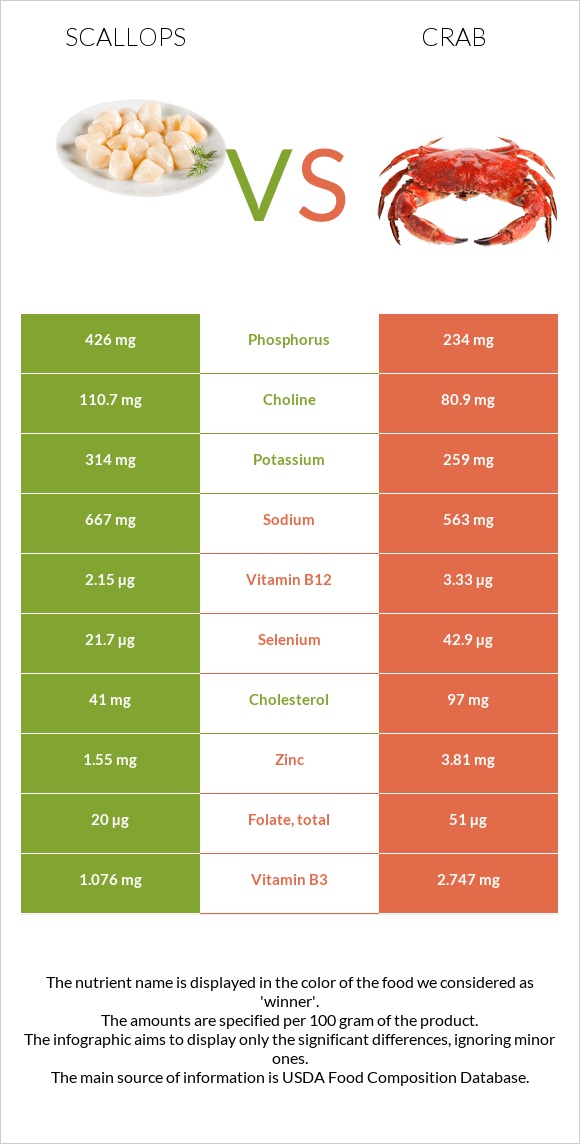 Scallop vs Ծովախեցգետին infographic