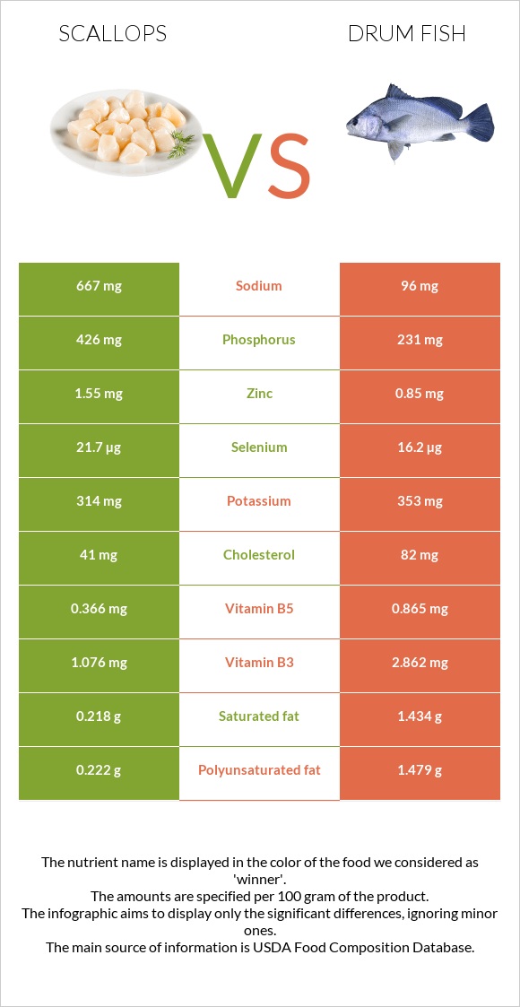 Scallops vs Drum fish infographic