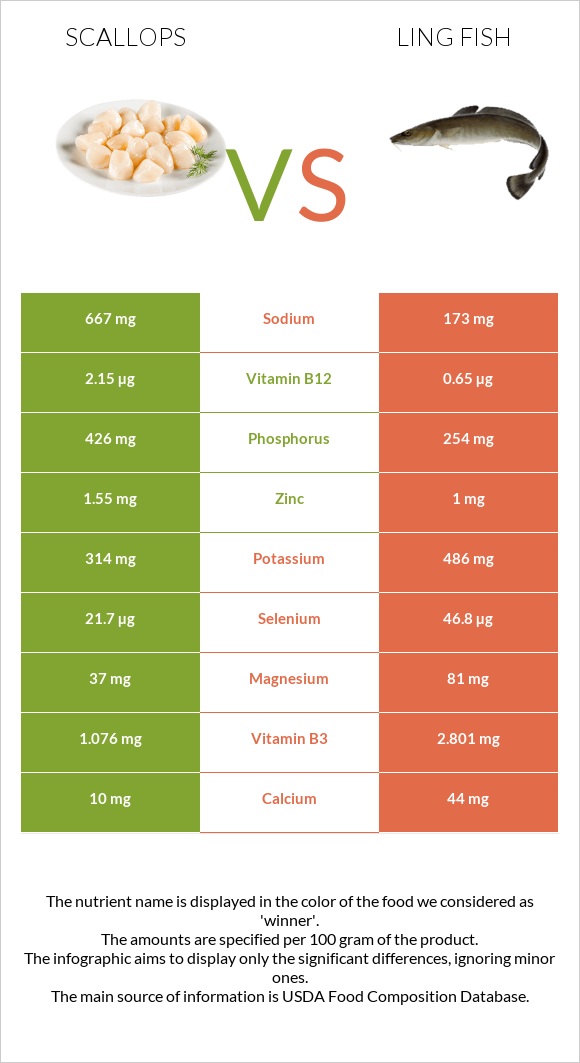 Scallop vs Ling fish infographic