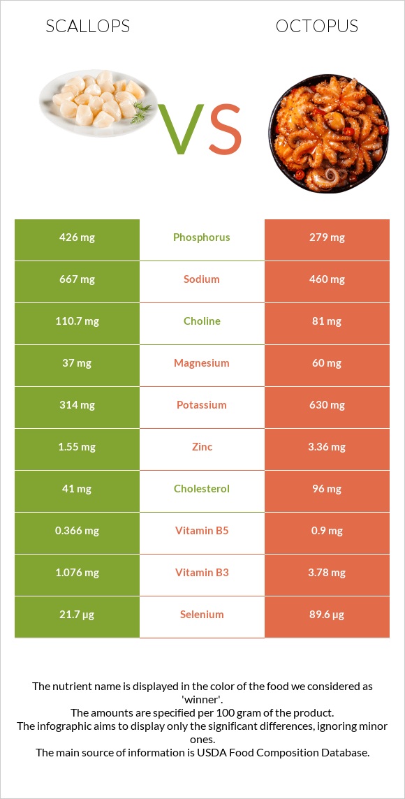 Scallop vs Octopus infographic