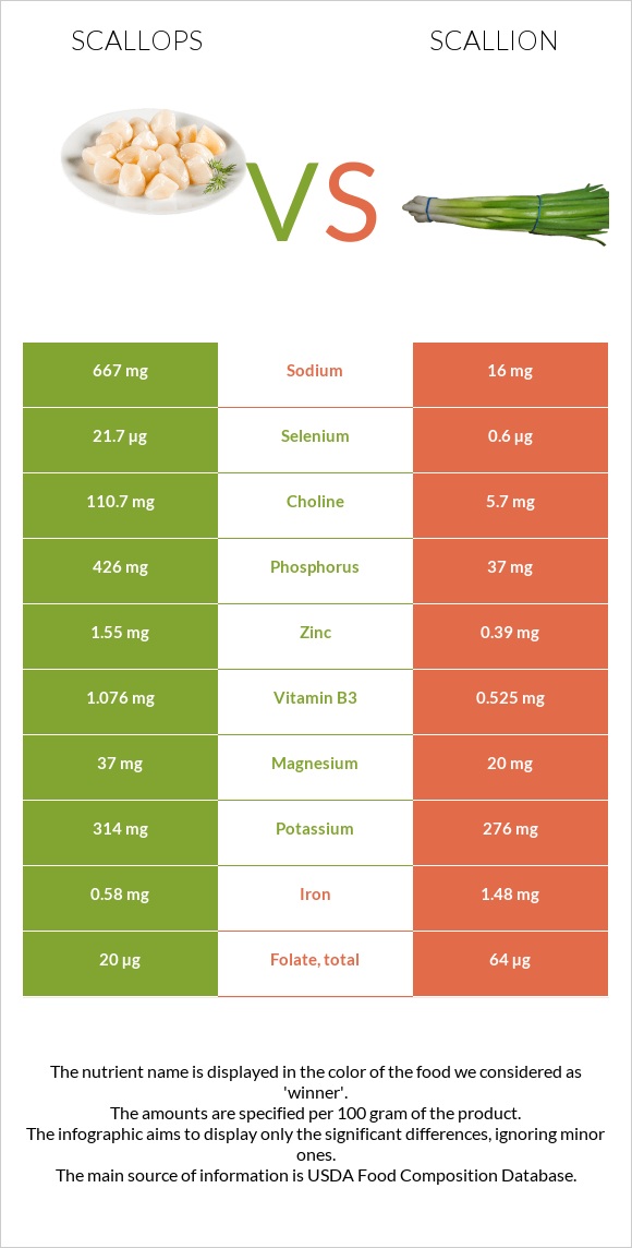 Scallop vs. Scallion — InDepth Nutrition Comparison