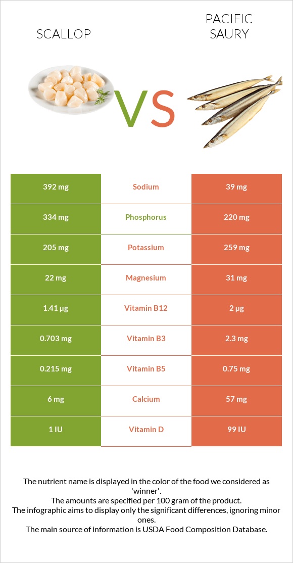 Scallop vs Pacific saury infographic