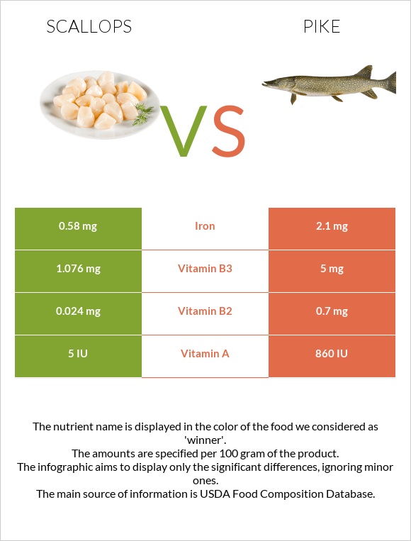 Scallop vs Pike infographic