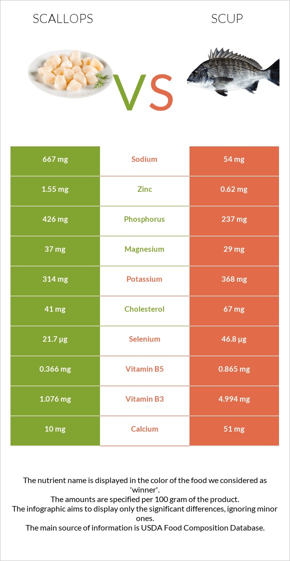 Scallop vs Scup infographic