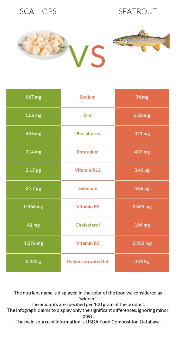 Scallop vs Seatrout infographic