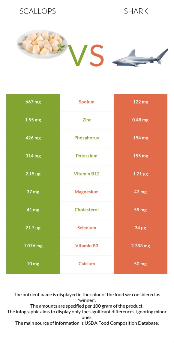 Scallop vs Shark infographic