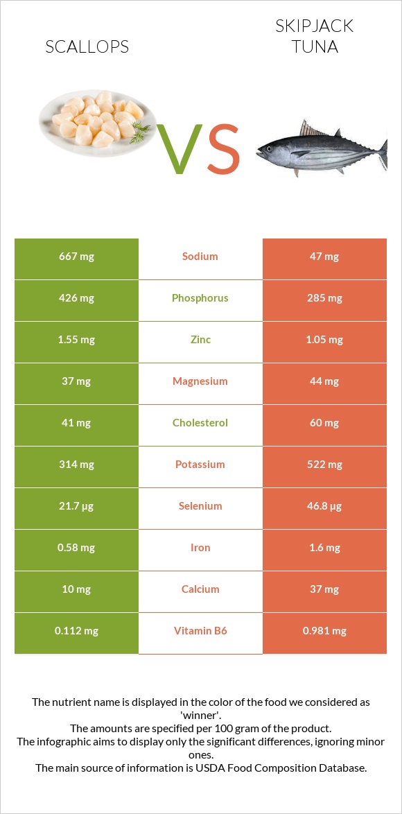 Scallop vs Skipjack tuna infographic