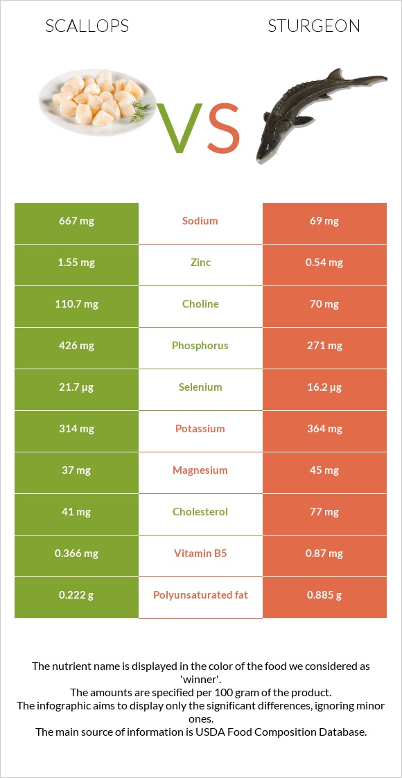 Scallop vs Sturgeon infographic