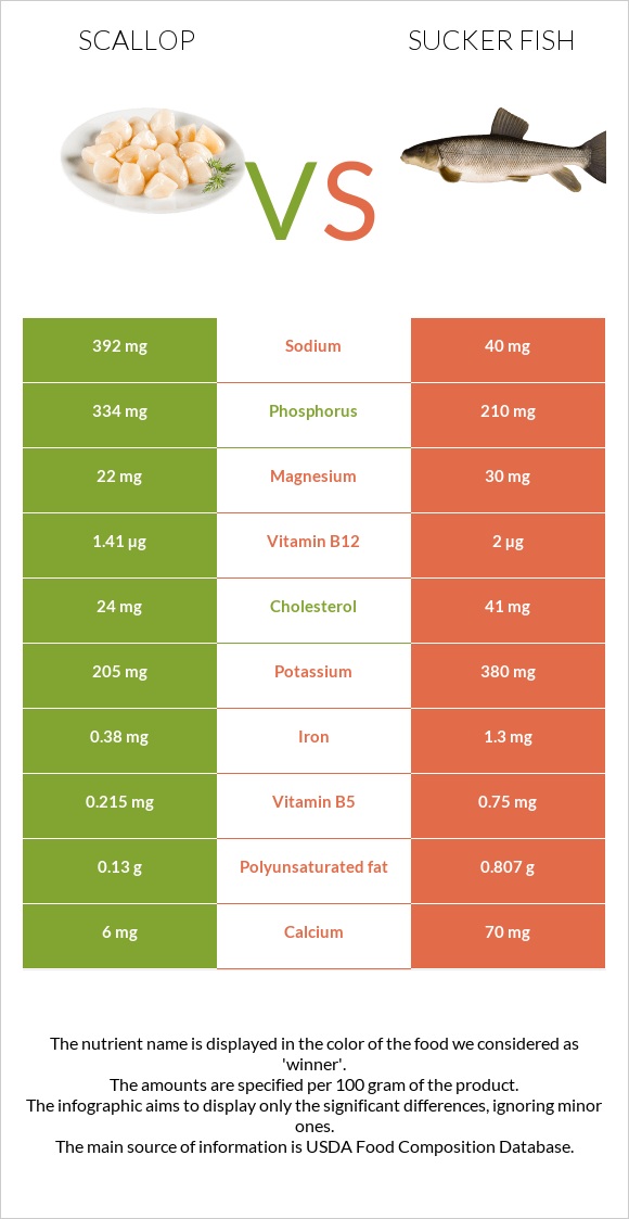 Scallop vs Sucker fish infographic